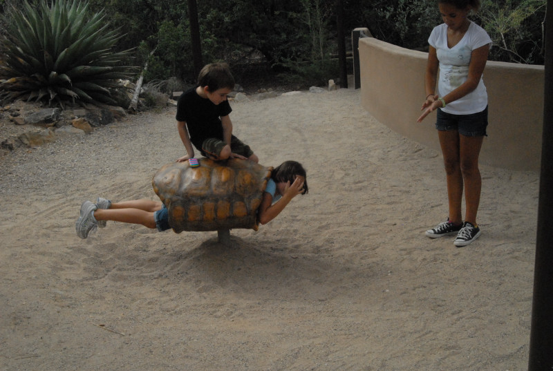 Biology of the Rattlesnakes 2011