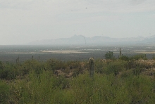 Biology of the Rattlesnakes 2011
