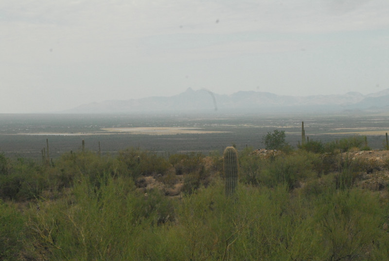 Biology of the Rattlesnakes 2011