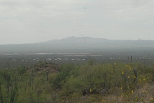 Biology of the Rattlesnakes 2011