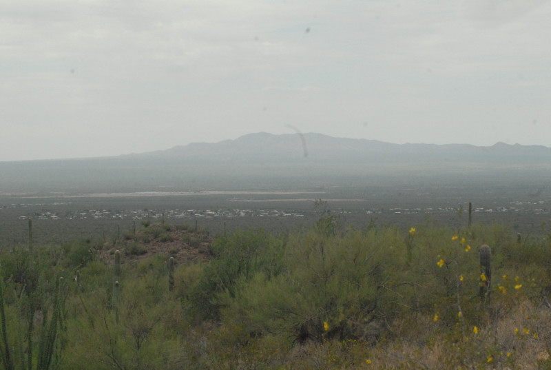 Biology of the Rattlesnakes 2011
