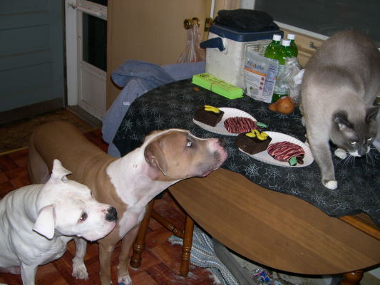 Brutus' Birthday Party