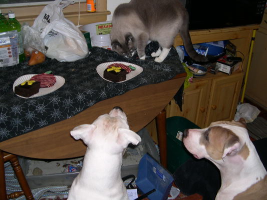 Brutus' Birthday Party