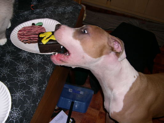 Brutus' Birthday Party