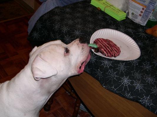 Brutus' Birthday Party