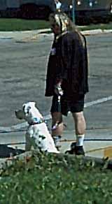 Brutus and Brian