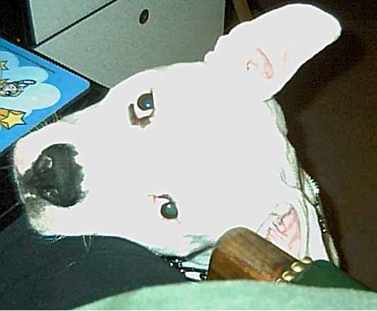 Will you get off the computer?