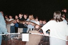 Burmese Python