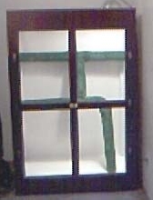 Iguana Cage