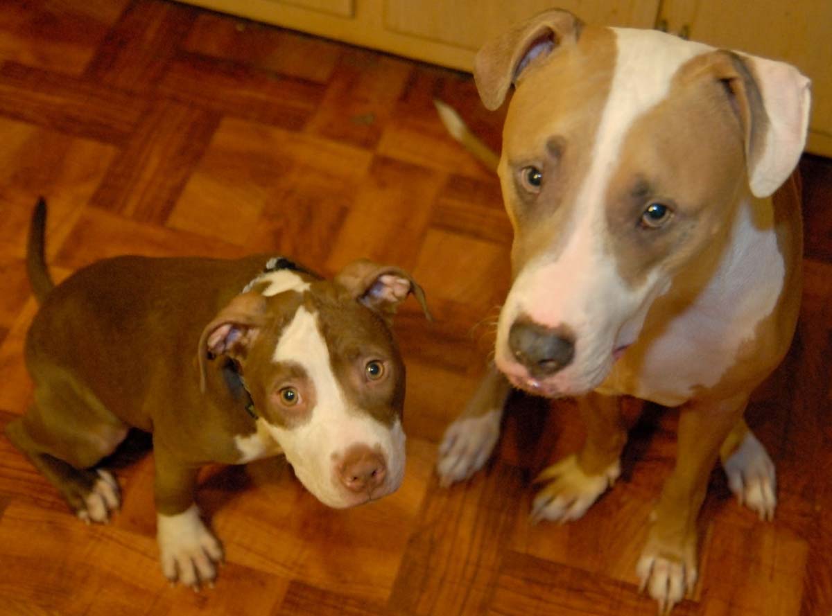 Cleo and Caesar