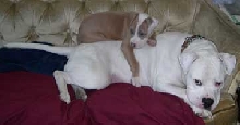 The boys cuddling