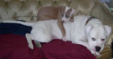 The boys cuddling