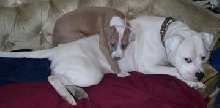 The boys cuddling