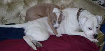 The boys cuddling