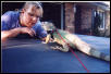 The She brat Iguana Damien