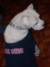 ROCK STAR!!!