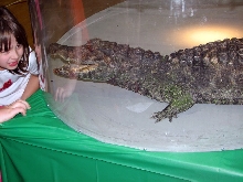 Reptile Fest 2010