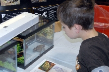Reptile Fest 2010