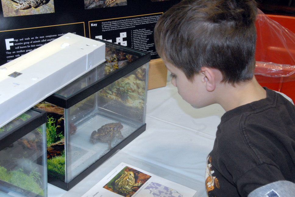 Reptile Fest 2010