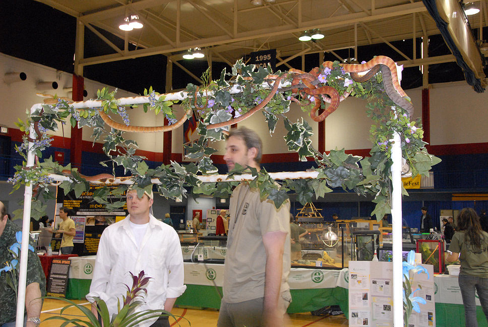 Reptile Fest 2010