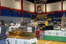 Reptile Fest 2010