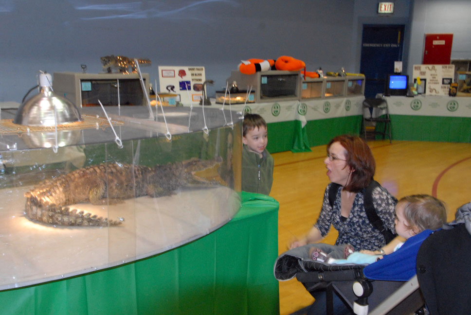 Reptile Fest 2010