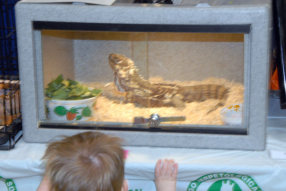 Reptile Fest 2010