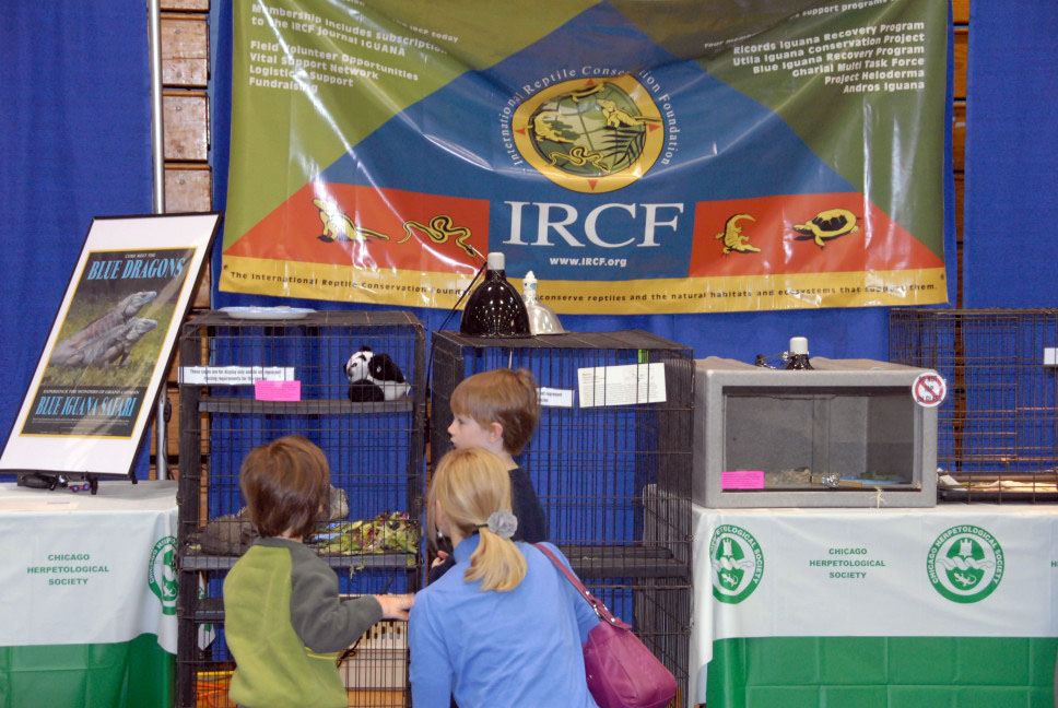 Reptile Fest 2010
