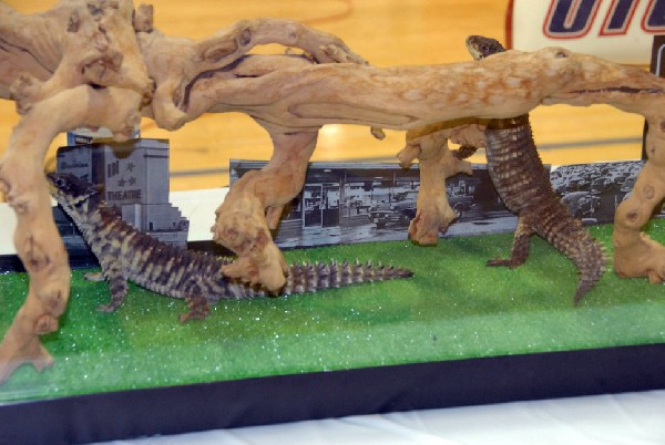 Reptile Fest 2010