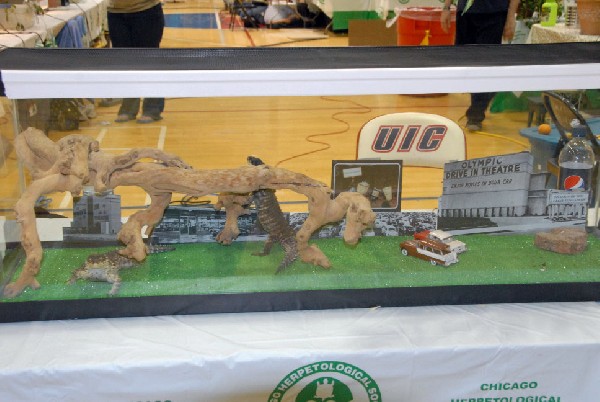 Reptile Fest 2010
