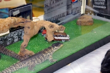 Reptile Fest 2010