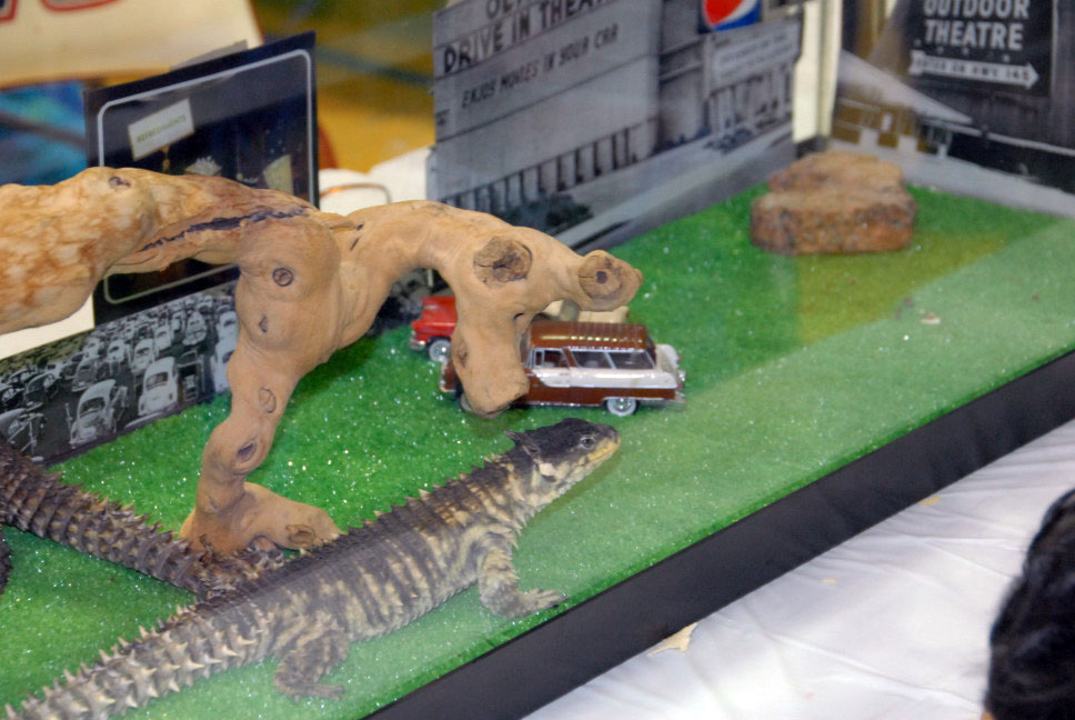 Reptile Fest 2010