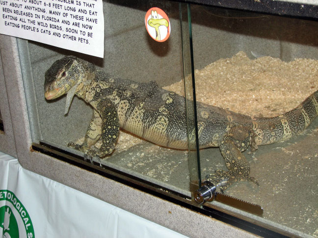 Reptile Fest 2010