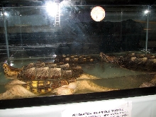 Reptile Fest 2010