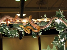 Reptile Fest 2010