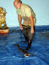 Reptile Fest 2010