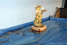 Reptile Fest 2010