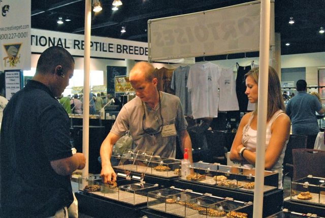 Scenes from Daytona NRBE 2011