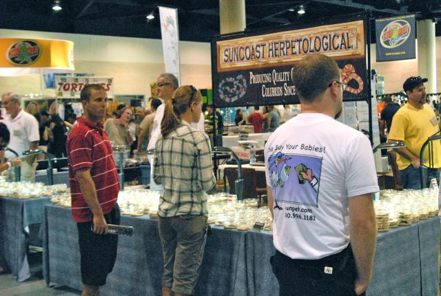Scenes from Daytona NRBE 2011