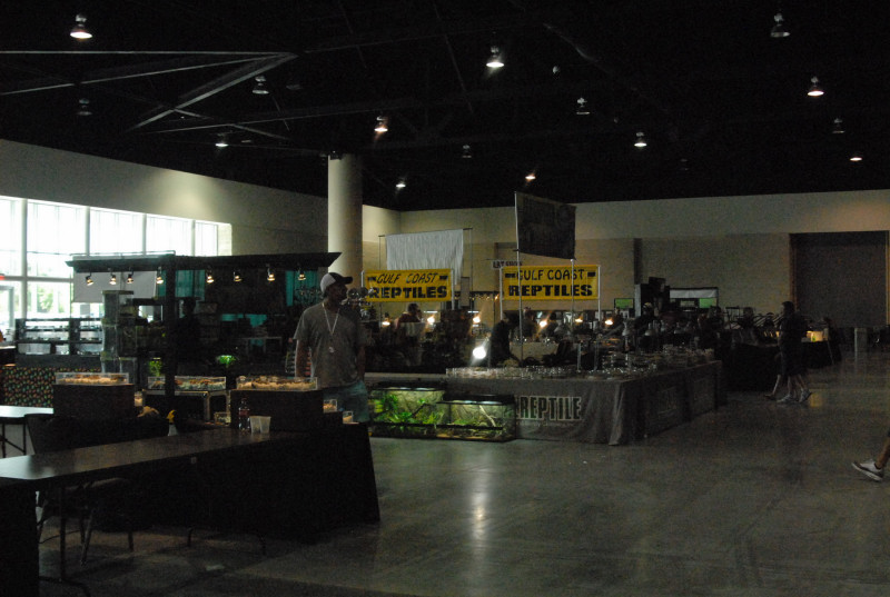 Scenes from Daytona NRBE 2011