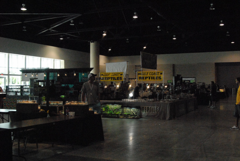 Scenes from Daytona NRBE 2011
