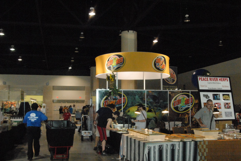 Scenes from Daytona NRBE 2011