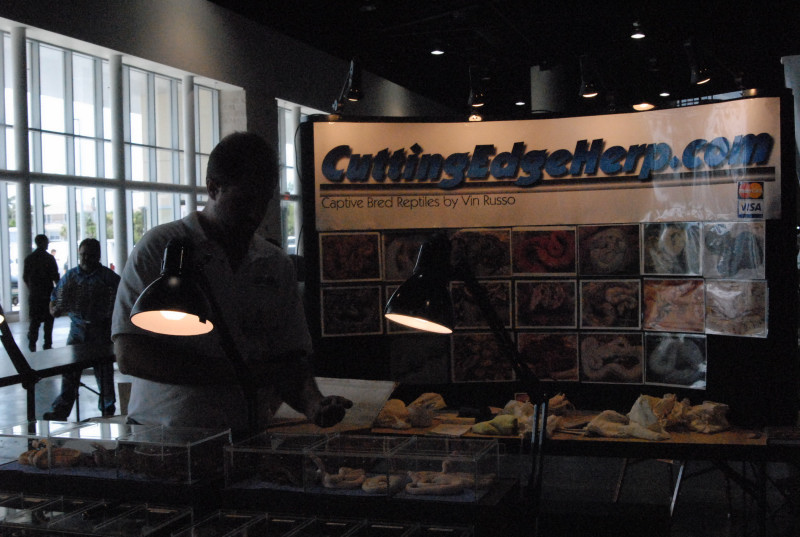 Scenes from Daytona NRBE 2011