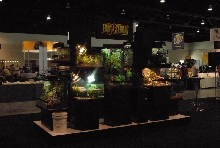Scenes from Daytona NRBE 2011