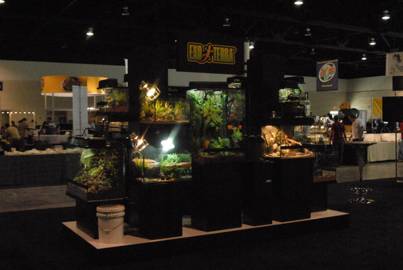 Scenes from Daytona NRBE 2011