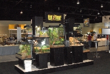 Scenes from Daytona NRBE 2011