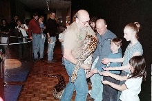 Burmese Python
