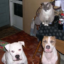 the kids