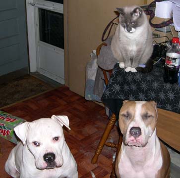 the kids