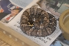Cindy visits Glades Herps